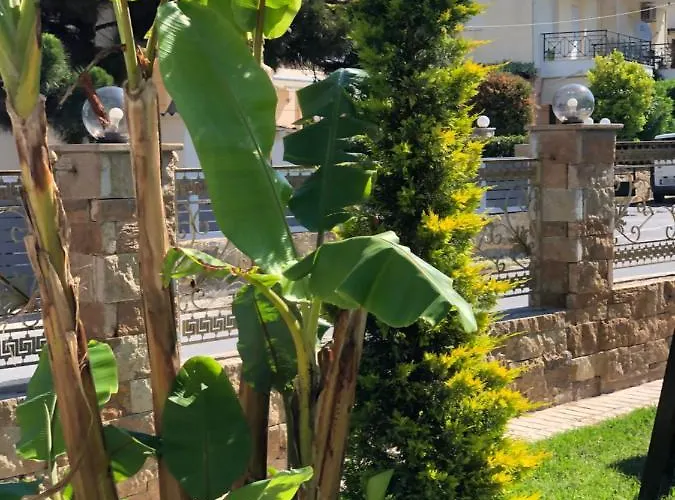 Hotel apartamentowy Halkidiki Greek Pride ηotel And