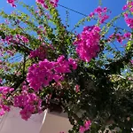 Halkidiki Greek Pride ηotel And 3* Skála Foúrkas