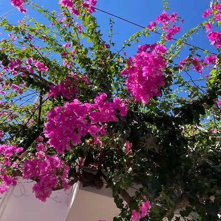 Halkidiki Greek Pride ηotel And 3* Skála Foúrkas